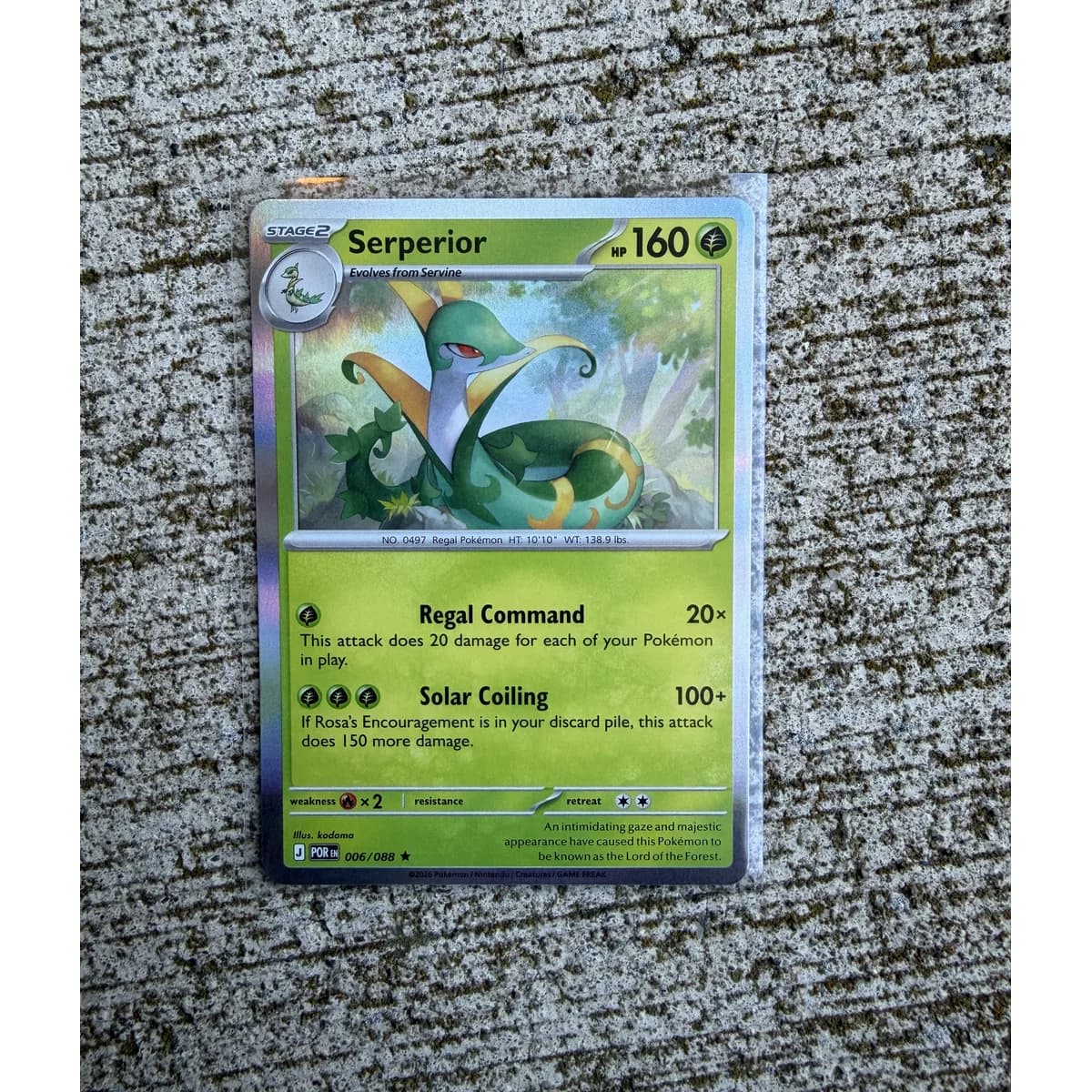 Serperior 006/088 - Perfect Order