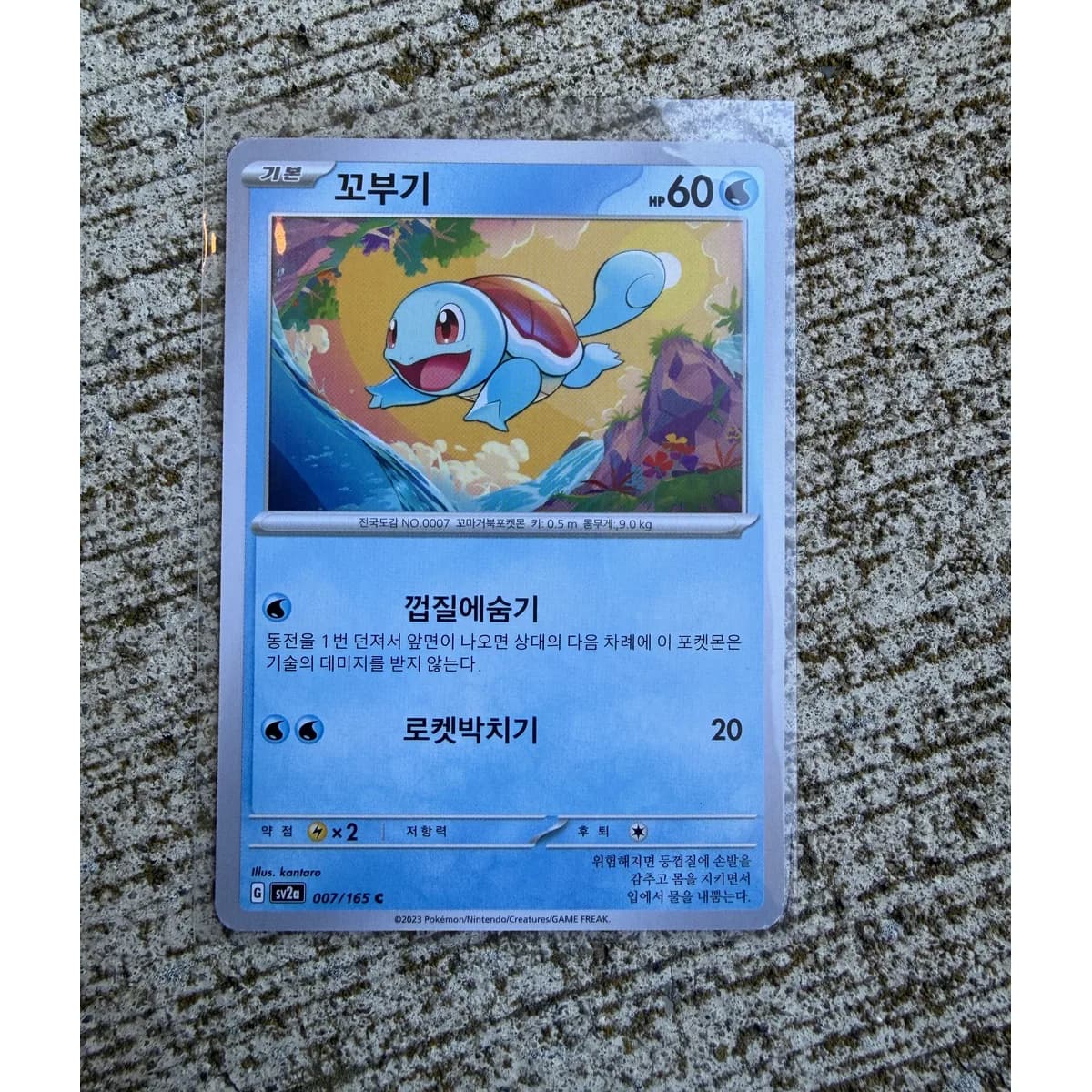 Korean Squirtle 007/165 - Pokemon Card 151