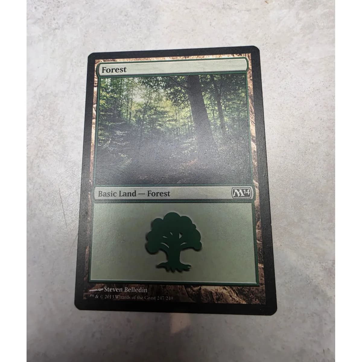 Magic: The Gathering - Forest (Magic 2014 #247)